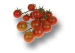 tomate cherry grande